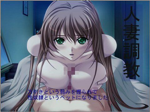 人妻調教 万引きという弱みを握られて性奴●というペットになりました (同人誌)