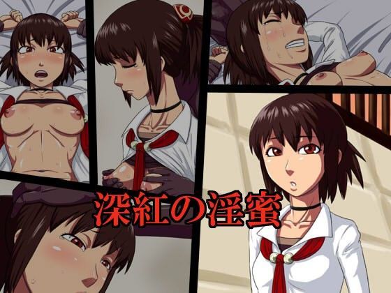深紅の淫蜜 (同人誌)
