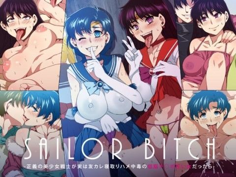 SAILOR BITCH -正義の美少女戦士が実は友カレ寝取りハメ中毒の低脳チ○ポ狂い女だったら- (同人誌)