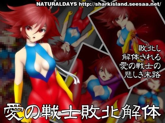 愛の戦士敗北解体 (同人誌)