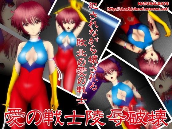 愛の戦士陵●破壊 (同人誌)