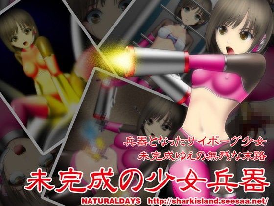 未完成の少女兵器 (同人誌)