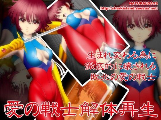 愛の戦士解体再生 (同人誌)