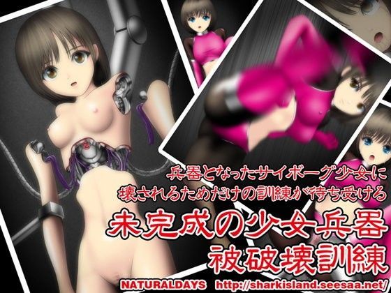 未完成の少女兵器 被破壊訓練 (同人誌)