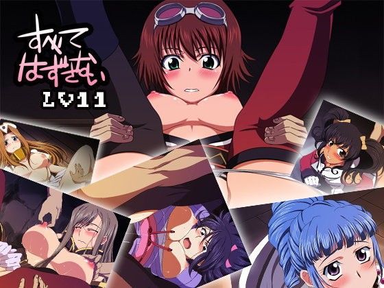 すべてはずさないLV11 (同人誌)