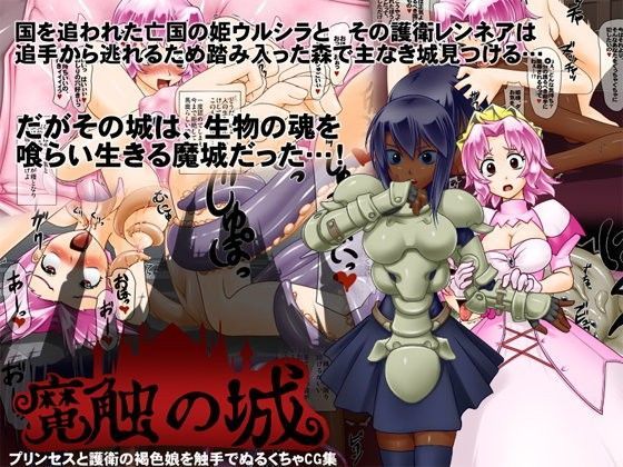 魔触の城 姫様褐色娘触手陵●CG集 (同人誌)