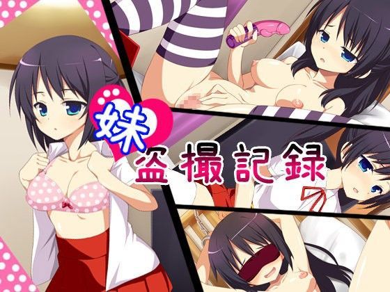 妹盗撮記録 (同人誌)
