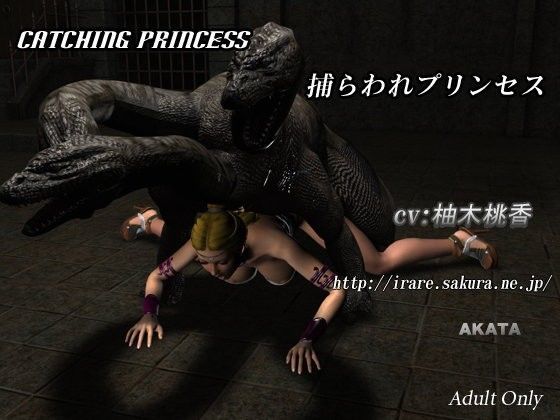 Catching Princess (同人誌)
