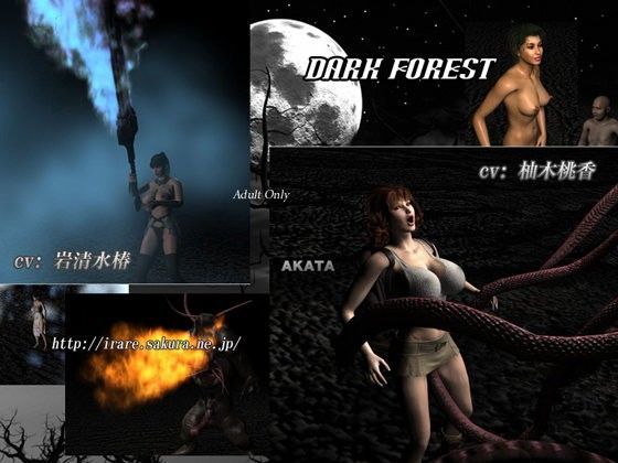 Dark Forest (同人誌)