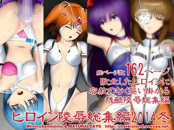 ヒロイン陵●総集編2014冬 (同人誌)