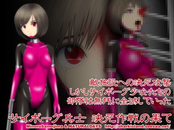 サイボーグ兵士 決死作戦の果て (同人誌)