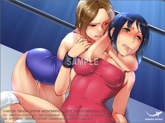 よくわかる！ボコリング (同人誌)