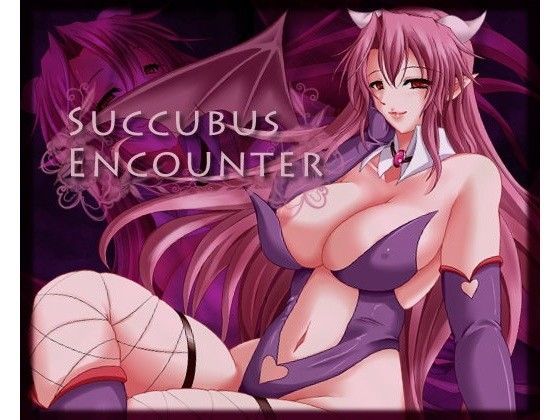 サキュバス エンカウンター (同人誌)