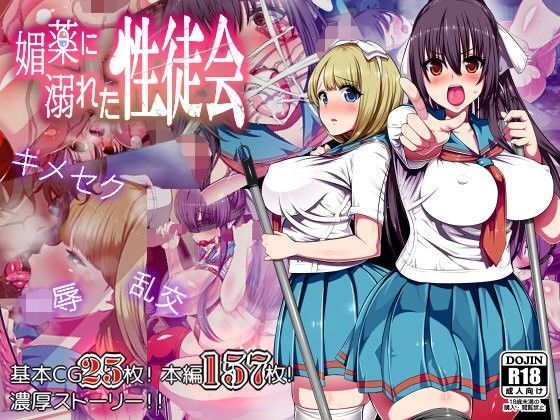 媚薬に溺れた性徒会 (同人誌)