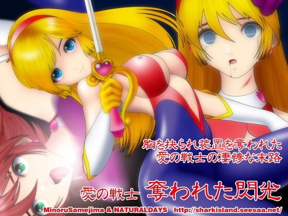 愛の戦士 奪われた閃光 (同人誌)
