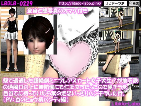 （PV:白のヒョウ柄パンティ編）駅で遭遇した超絶劇ミニフレアスカート女子大生？が地下鉄の通風口の上に無防備にも仁王立ちだったので風チラを目当てに待っていたら案の定思いっきりパンチラした件。 (同人誌)