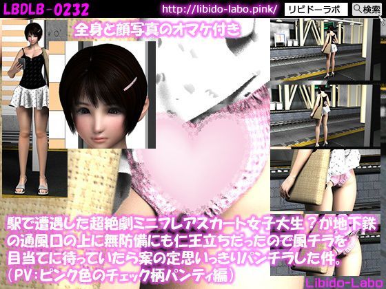 （PV:ピンク色のチェック柄パンティ編）駅で遭遇した超絶劇ミニフレアスカート女子大生？が地下鉄の通風口の上に無防備にも仁王立ちだったので風チラを目当てに待っていたら案の定思いっきりパンチラした件。 (同人誌)