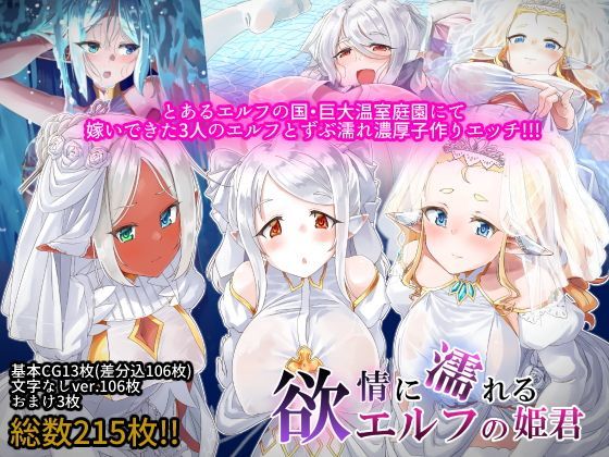 欲情に濡れるエルフの姫君 (同人誌)