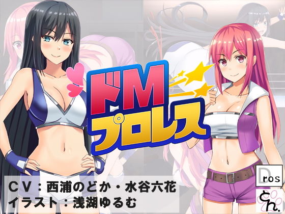 ドMプロレス (同人誌)