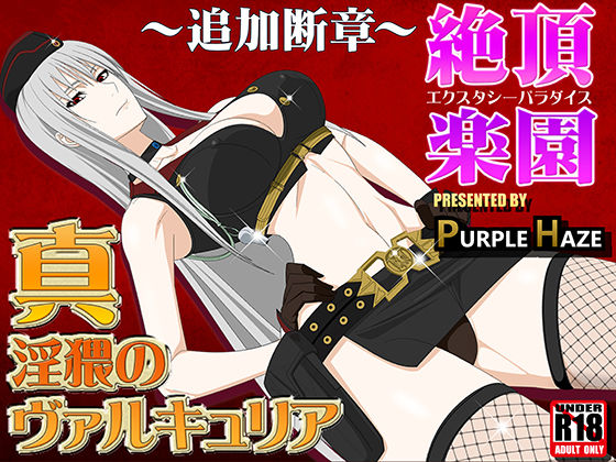 真・淫猥のヴァルキュリア 〜追加断章〜絶頂楽園 (同人誌)