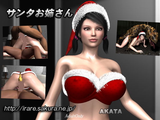 サンタお姉さん (同人誌)