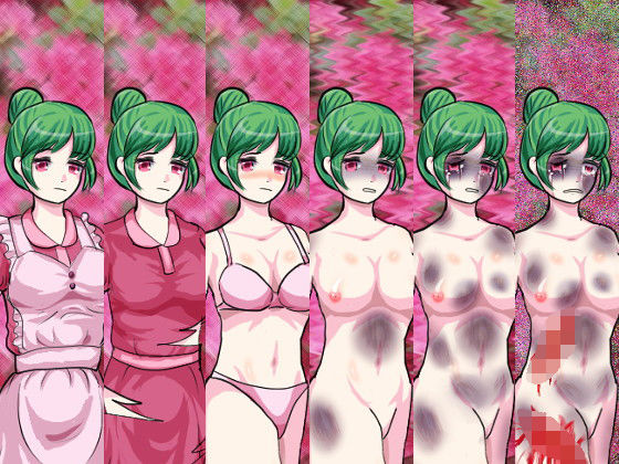 普通の男/異常な女 R18画像＆素材オンリー版 (同人誌)