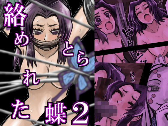 絡めとられた蝶2 (同人誌)