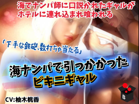 海ナンパで引っかかったビキニギャル (同人誌)