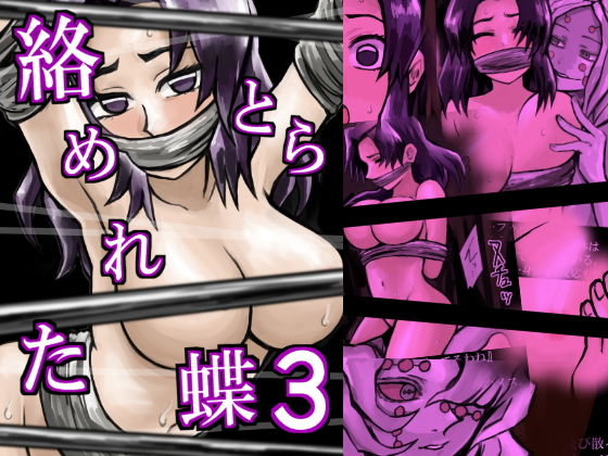 絡めとられた蝶3 (同人誌)