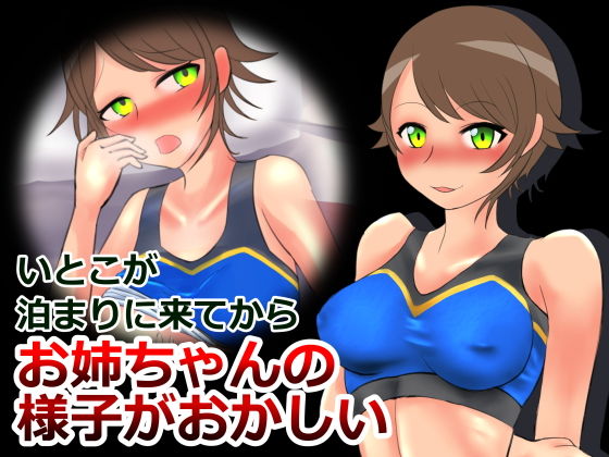 いとこが泊まりに来てからお姉ちゃんの様子がおかしい (同人誌)