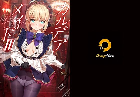 カルデアメイド3 (同人誌)