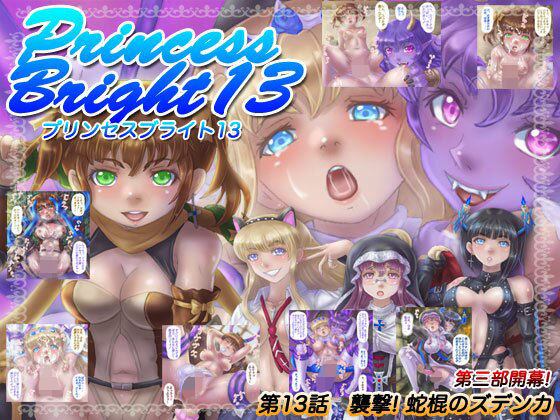 プリンセスブライト13 (同人誌)