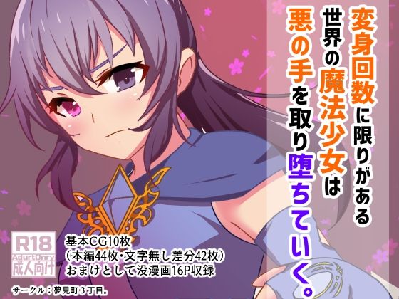 変身回数に限りがある魔法少女は悪の手を取り堕ちていく。 (同人誌)