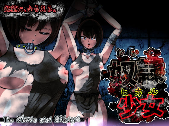 奴◯少女 ヒカル (同人誌)