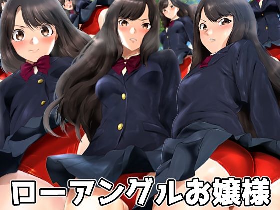 ローアングルお嬢様 (同人誌)