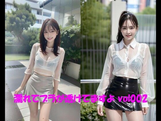 濡れてブラが透けてますよ vol002 (同人誌)