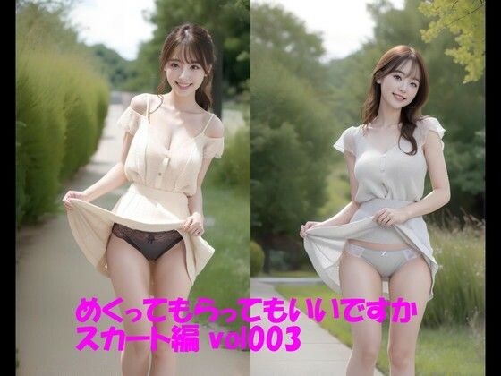 めくってもらってもいいですか スカート編 vol003 (同人誌)