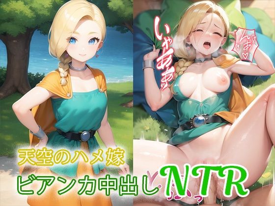 天空のハメ嫁 ビアンカ中出しNTR (同人誌)