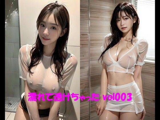 濡れて透けちゃった vol003 (同人誌)