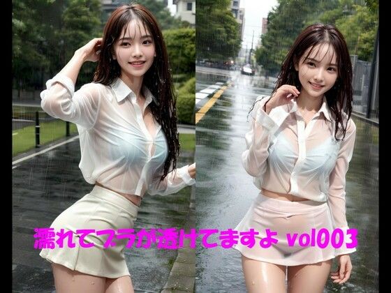 濡れてブラが透けてますよ vol003 (同人誌)