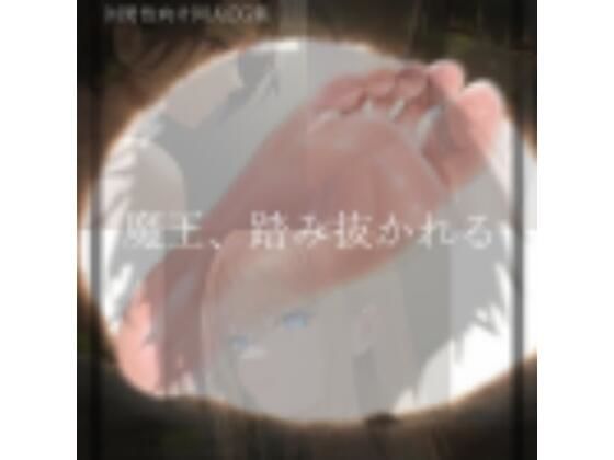 魔王、踏み抜かれる (同人誌)
