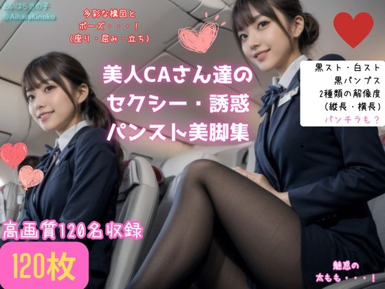 【盗撮風】美人CAさん達の黒スト美脚集（たまにパンチラ？） (同人誌)