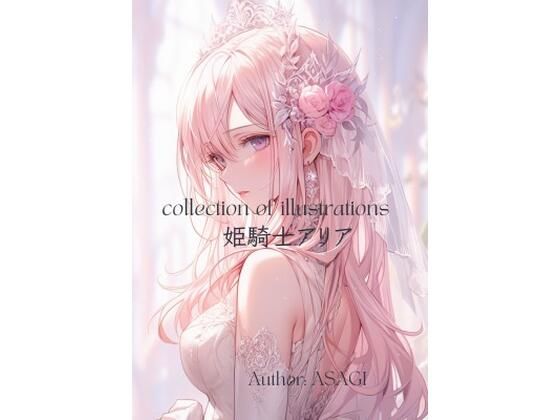 collection of illustration 姫騎士アリア (同人誌)
