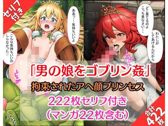 【ゴブリン姦】『プリンセスは男の娘』アヘ顔に拘束中出し！（セリフ付き画像200枚＋マンガ22枚） (同人誌)