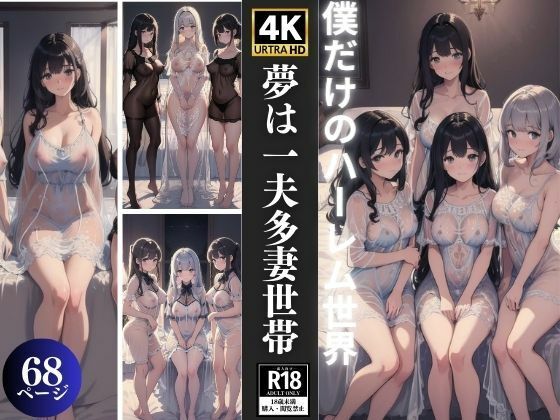 僕だけのハーレム世界 夢は一夫多妻世帯 (同人誌)