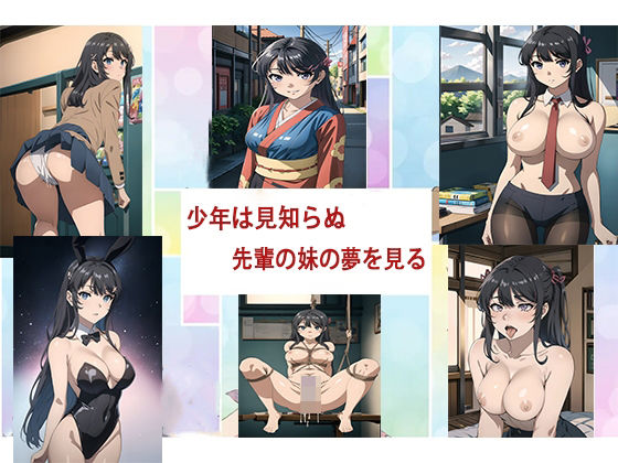 少年は見知らぬ先輩の妹の夢を見る (同人誌)