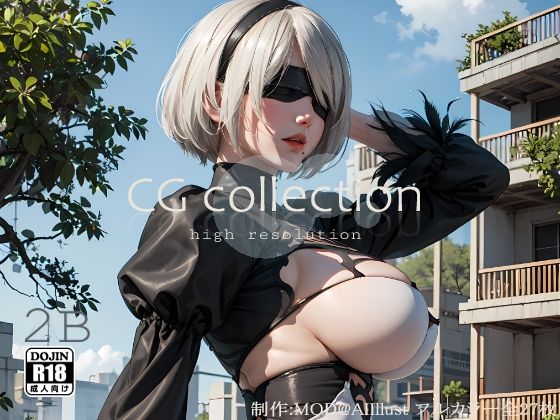 『ニー〇・オー〇・マ〇』2B CG集 (同人誌)