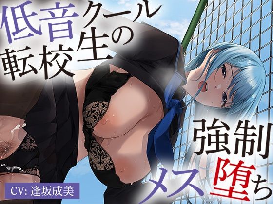 低音クール転校生の強○メス堕ち【アニメ版】 (同人誌)