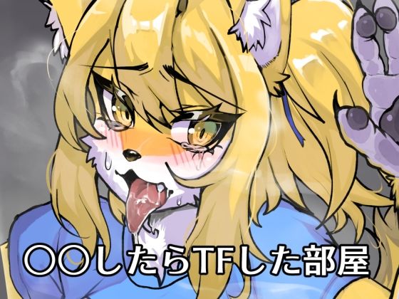 【FANBOX作品】○○したらTFした部屋 (同人誌)