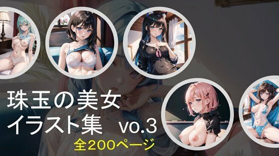 珠玉の美女イラスト集vo.3 (同人誌)